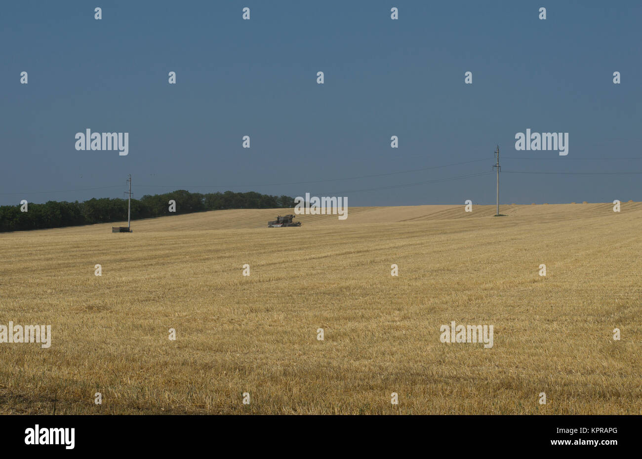 field during a season of summer harvesting Stock Photo - Alamy