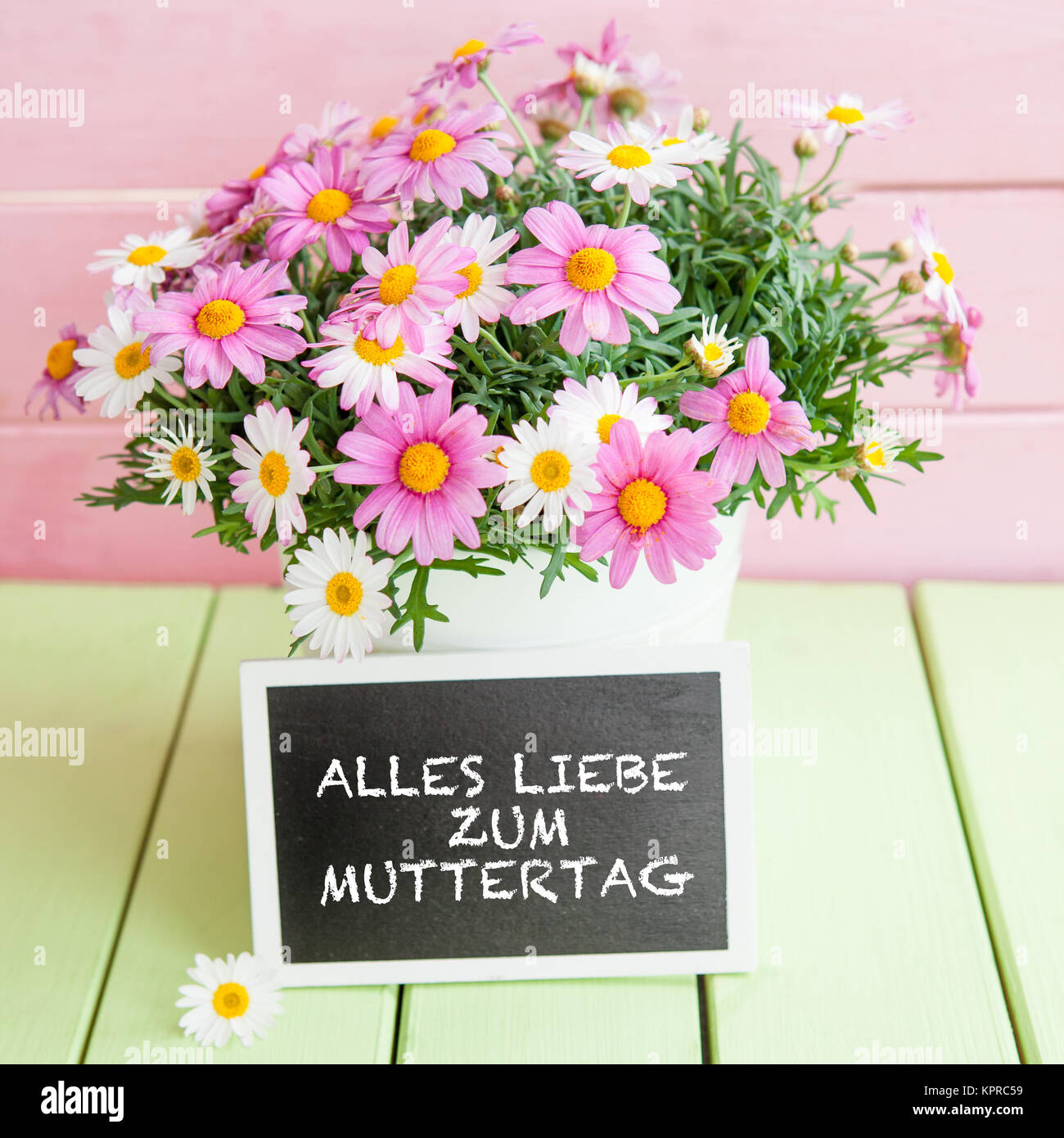 Joya Love Gänseblümchen Armband Set - 4 Bunte Perlenarmbänder Für Damen