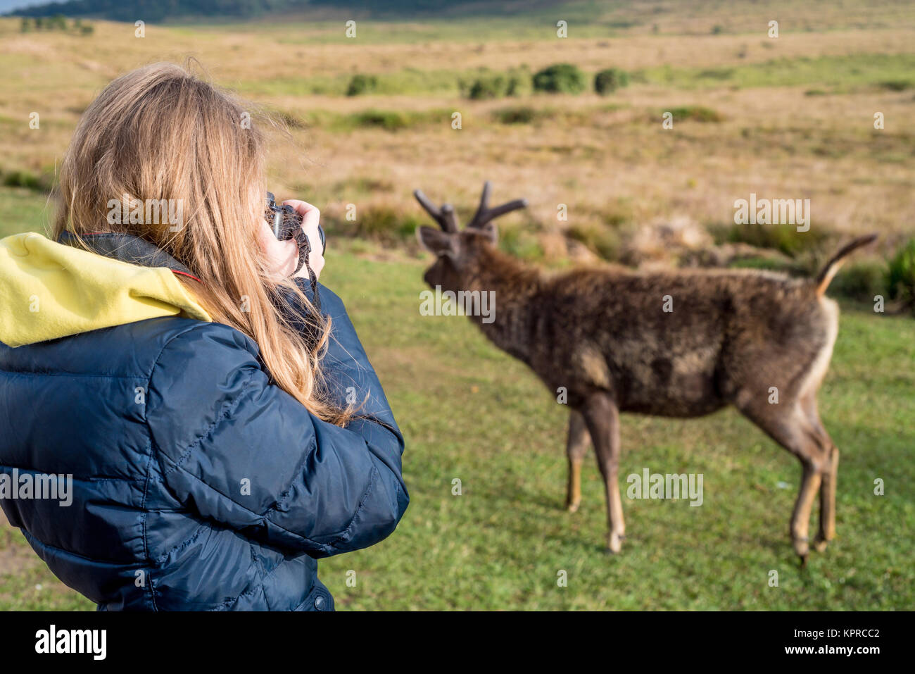 Female wildlife photographer hi-res stock photography and images - Alamy