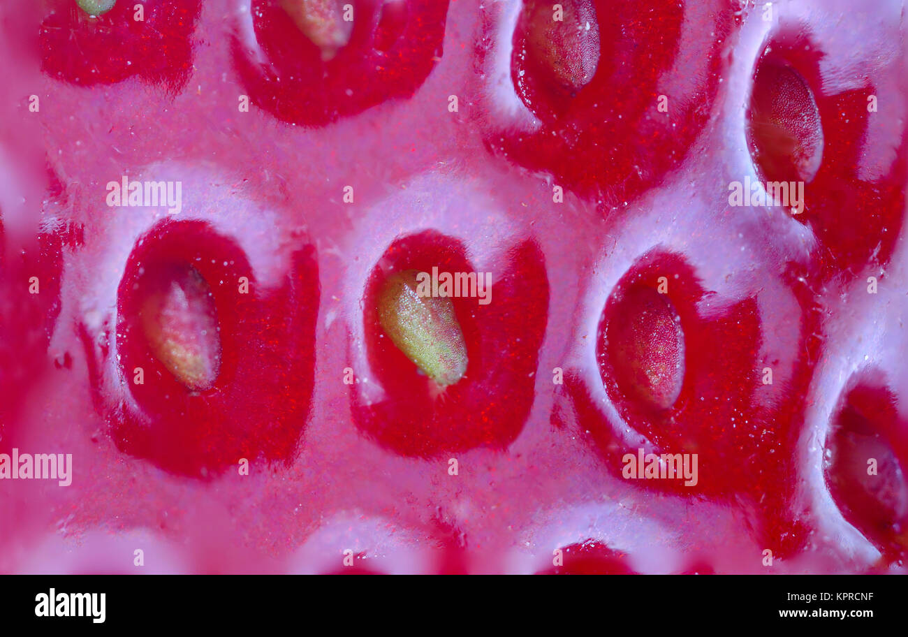 super macro of strawberry Stock Photo - Alamy