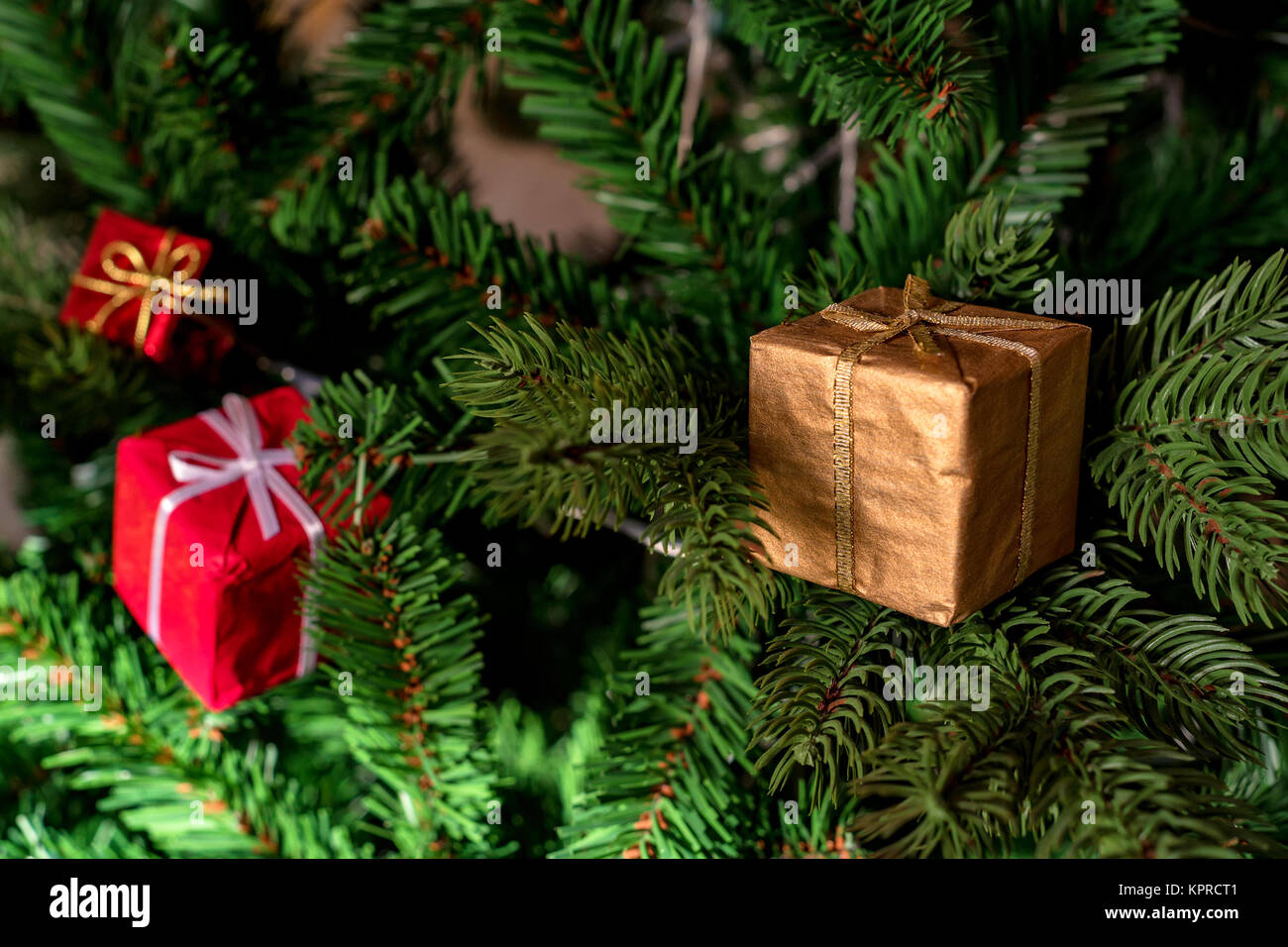 Box Present Tree Tree decorated with small boxes hi-res stock photography and images - Alamy