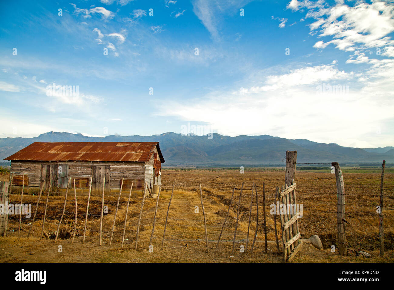 After the rice harvest Stock Photo - Alamy