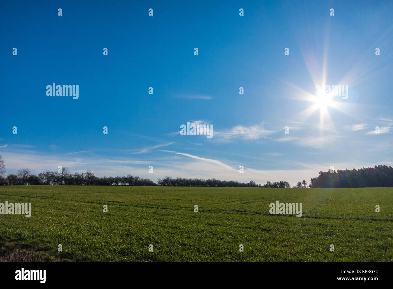 landscape in spring Stock Photo - Alamy
