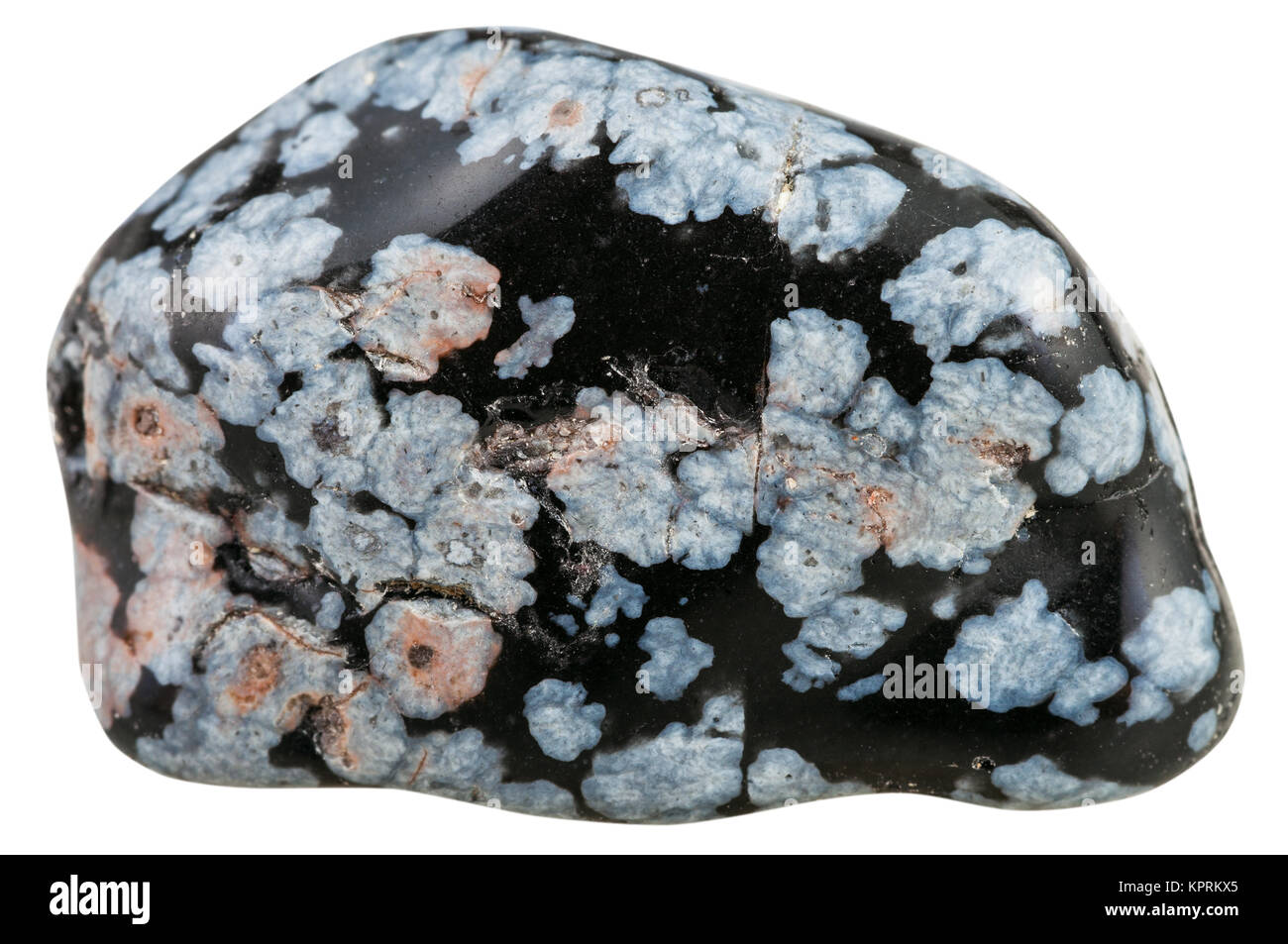 Pebble Of Gray Snowflake Obsidian Gemstone Stock Photo Alamy