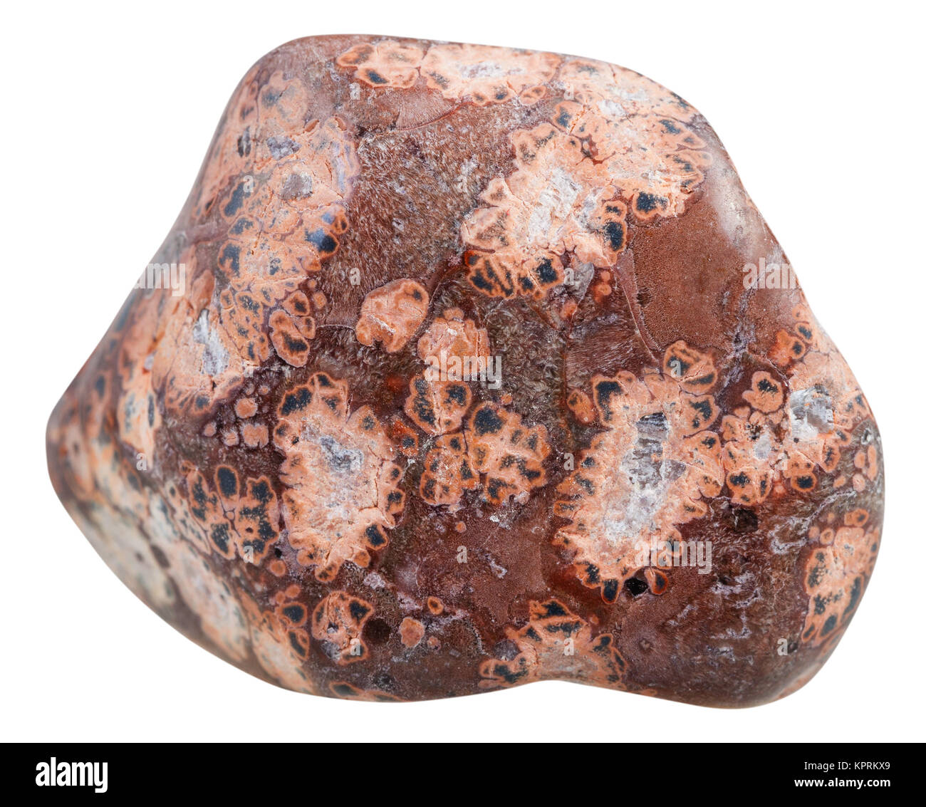 49mm 184g Leopardite Jasper Sphere Natural Leopard Skin Crystal