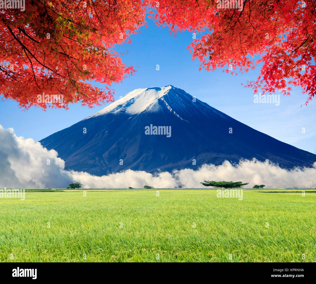 Imaging Of Beautiful Landscape With Nice Nature Color Stock Photo Alamy