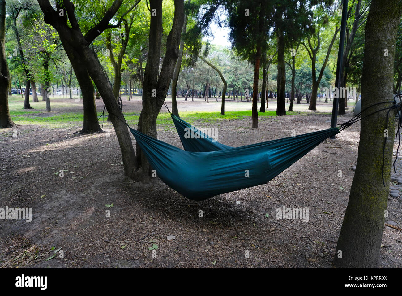People in hammocks, Chapultepec Park, Mexico City, DF, Mexico Stock