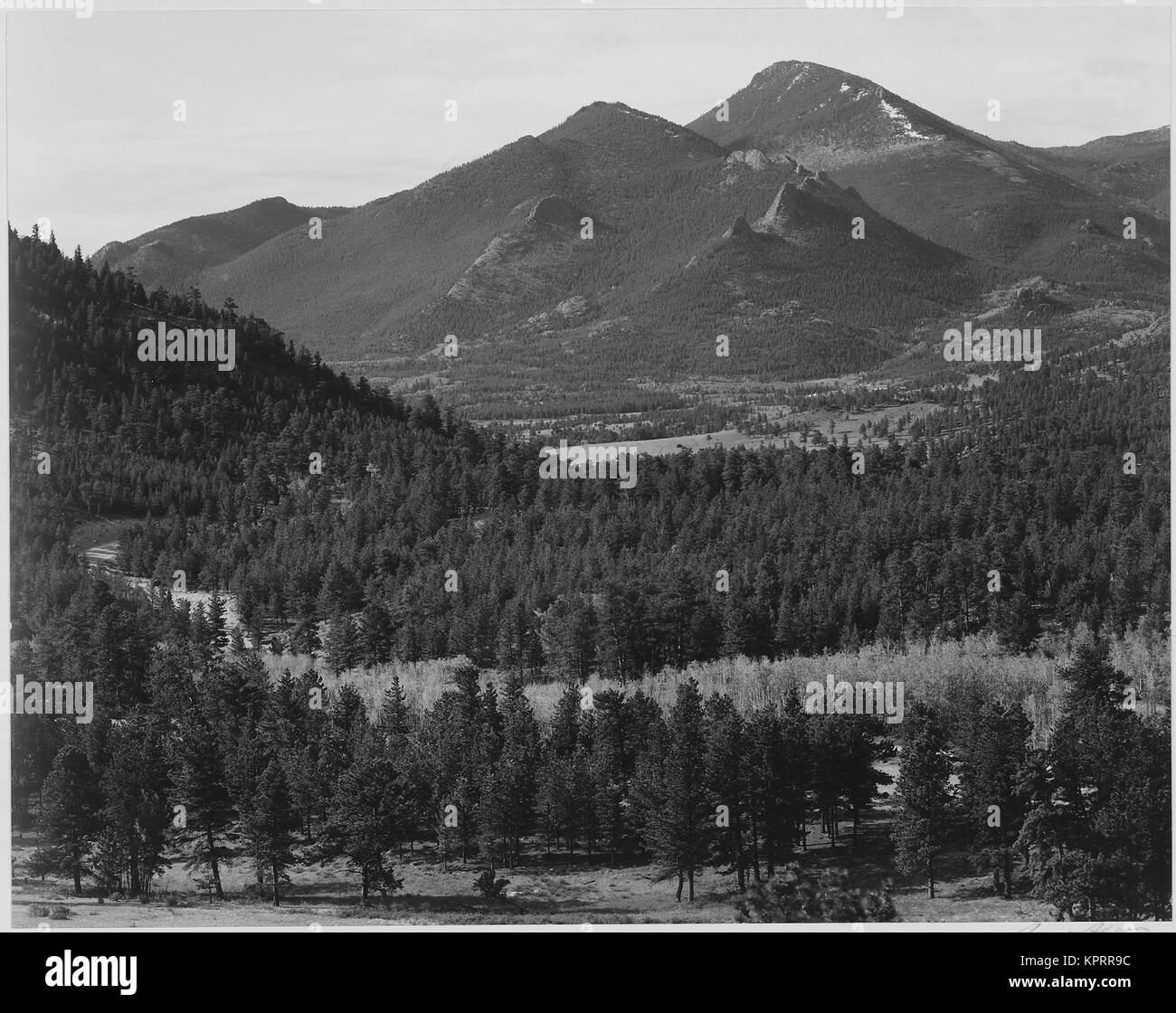 View with trees in foreground barren mountains in background 'In Rocky Mountain National Park' Colorado 1933 - 1942 Stock Photo