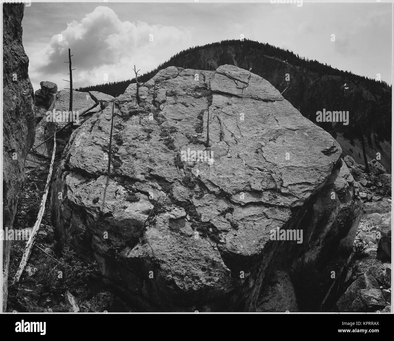 Boulder with hill in background 'Rocks at Silver Gate Yellowstone National Park' Wyoming, Geology, Geological. 1933 - 1942 Stock Photo
