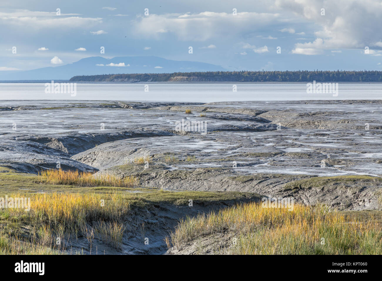 Mudflats at low tide on the Knik Arm, a waterway into the northwestern part of the Gulf of Alaska, a branch of the Cook Inlet, Anchorage, Alaska, USA Stock Photo