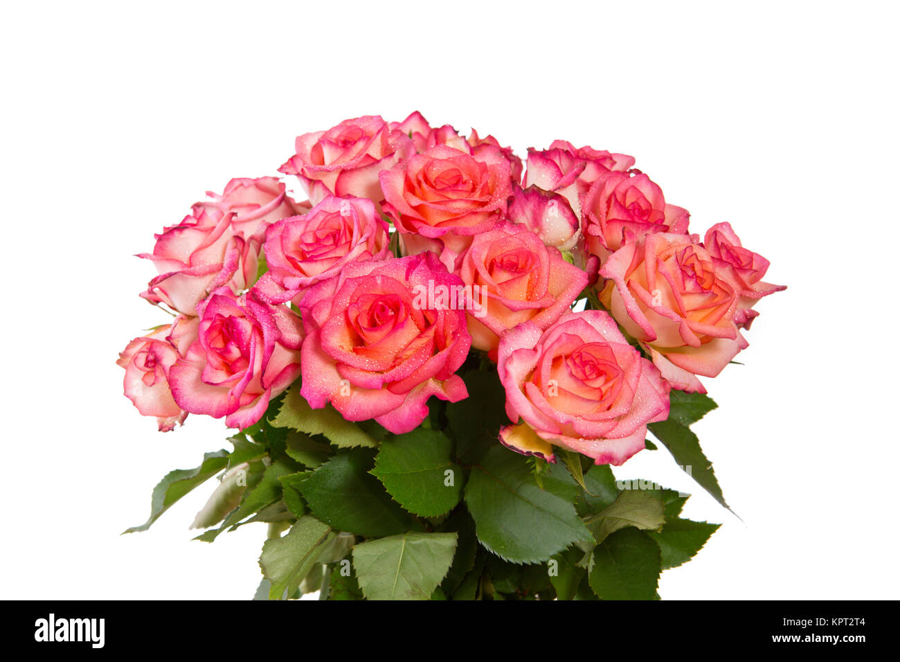 Pink rose bouquet isolated on white background Stock Photo - Alamy