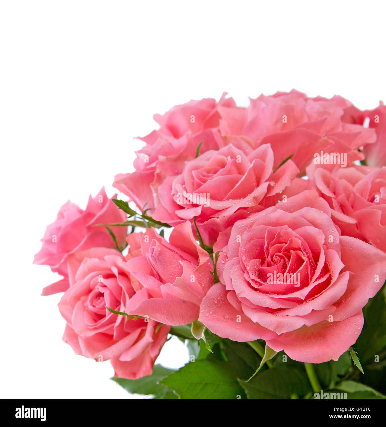 Pink rose bouquet isolated on white background Stock Photo - Alamy
