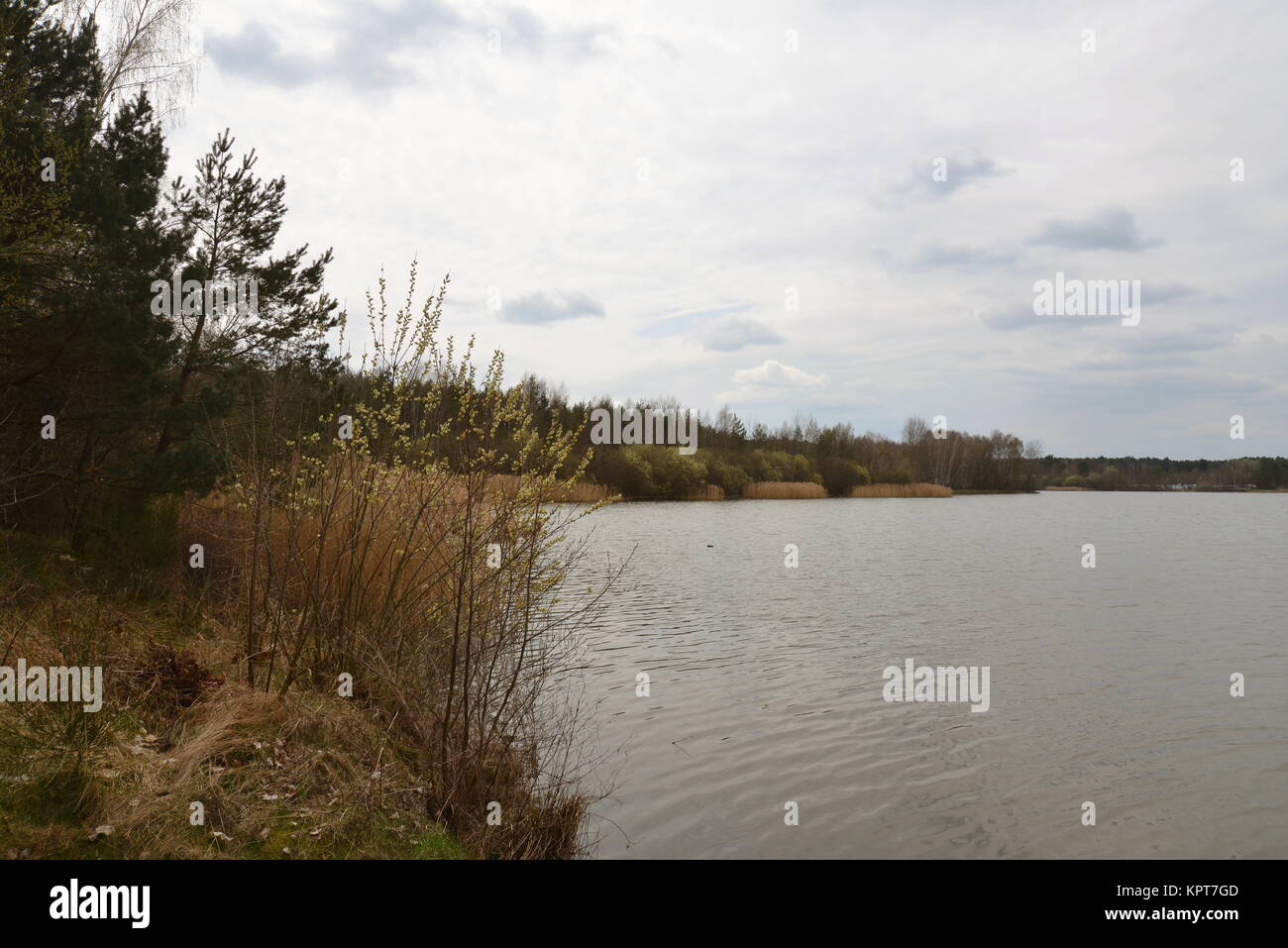  In April at the Brombachsee Stock Photo - Alamy Bildidee 