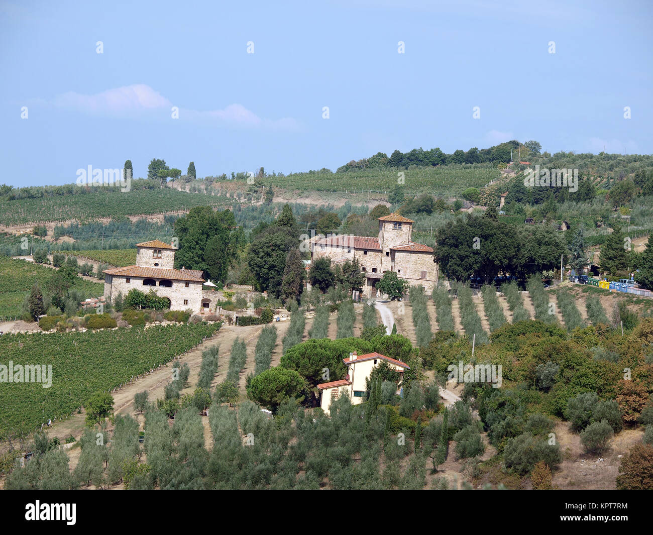 Villa in Tuscany amongst vineyards and an olive groves Stock Photo - Alamy