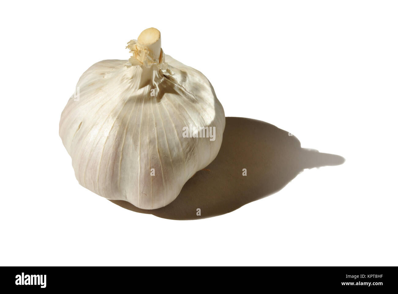 garlic Stock Photo