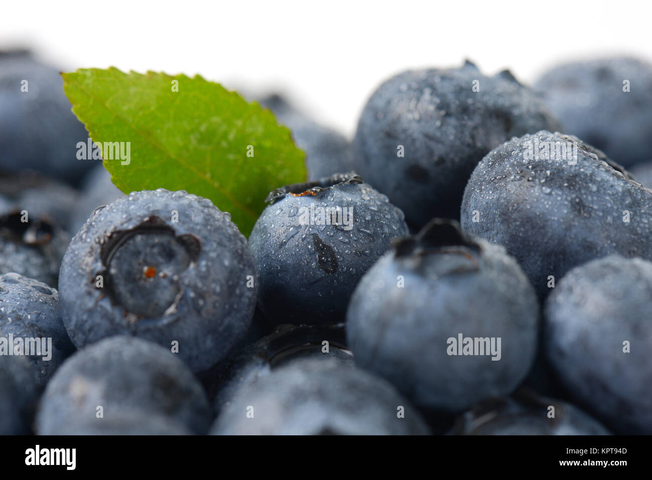 Really Ripe Blueberries Fresh ripe blueberries Stock Photo - Alamy