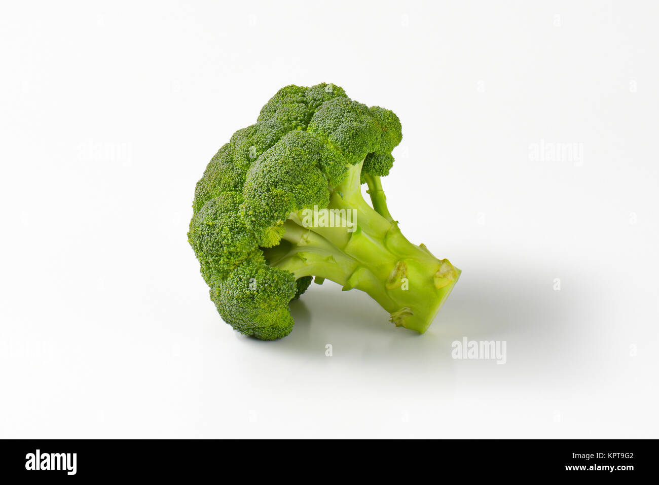 Fresh head of broccoli Stock Photo Alamy