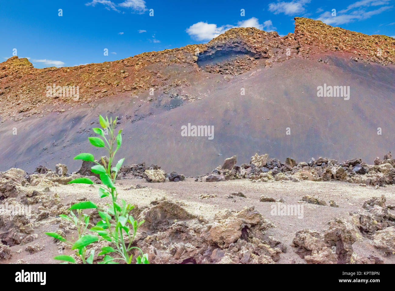 volcanic stone desert in the Canary Islands of Lanzarote Stock Photo