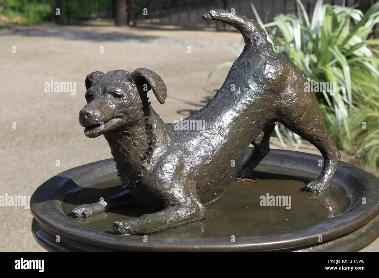Drinking fountain statue hires stock photography and images Alamy