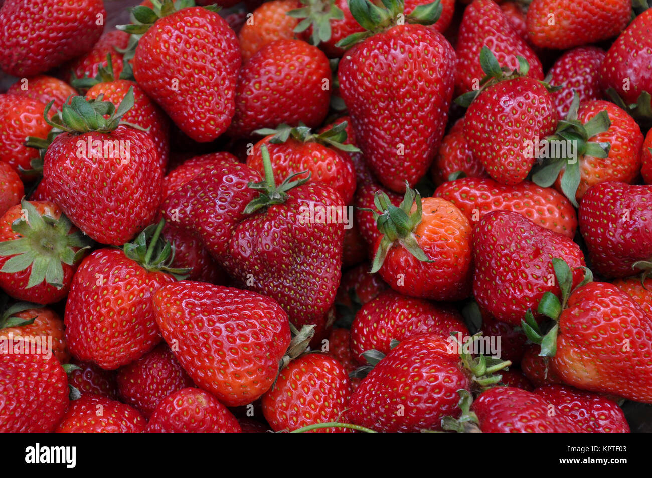 Fresh red strawberries closeup background, macro Stock Photo - Alamy