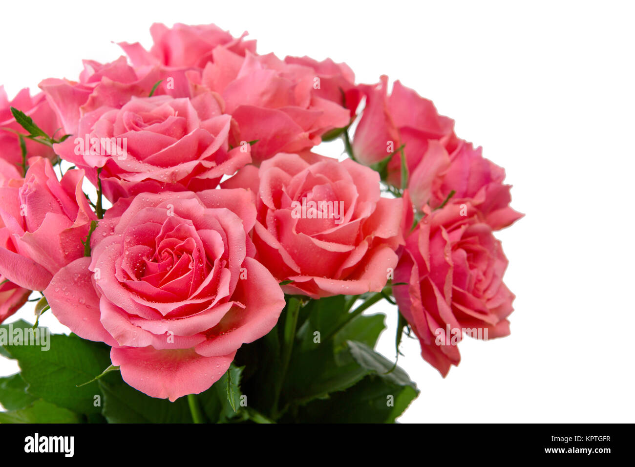 Pink rose bouquet isolated on white background Stock Photo - Alamy