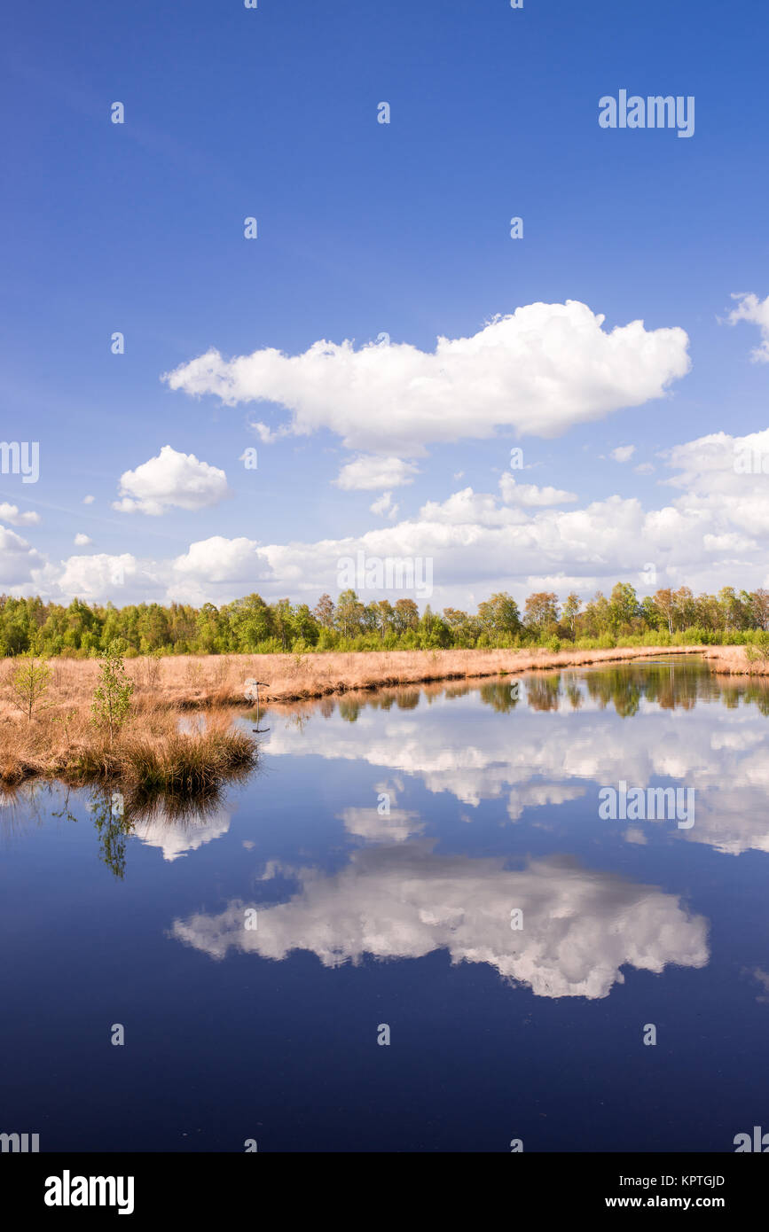 moor landscape Stock Photo