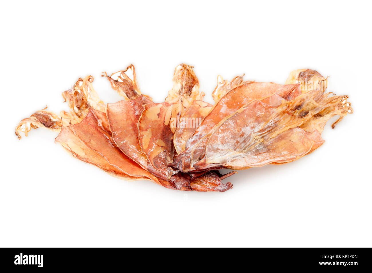 dried squid isolated on white background with path Stock Photo - Alamy