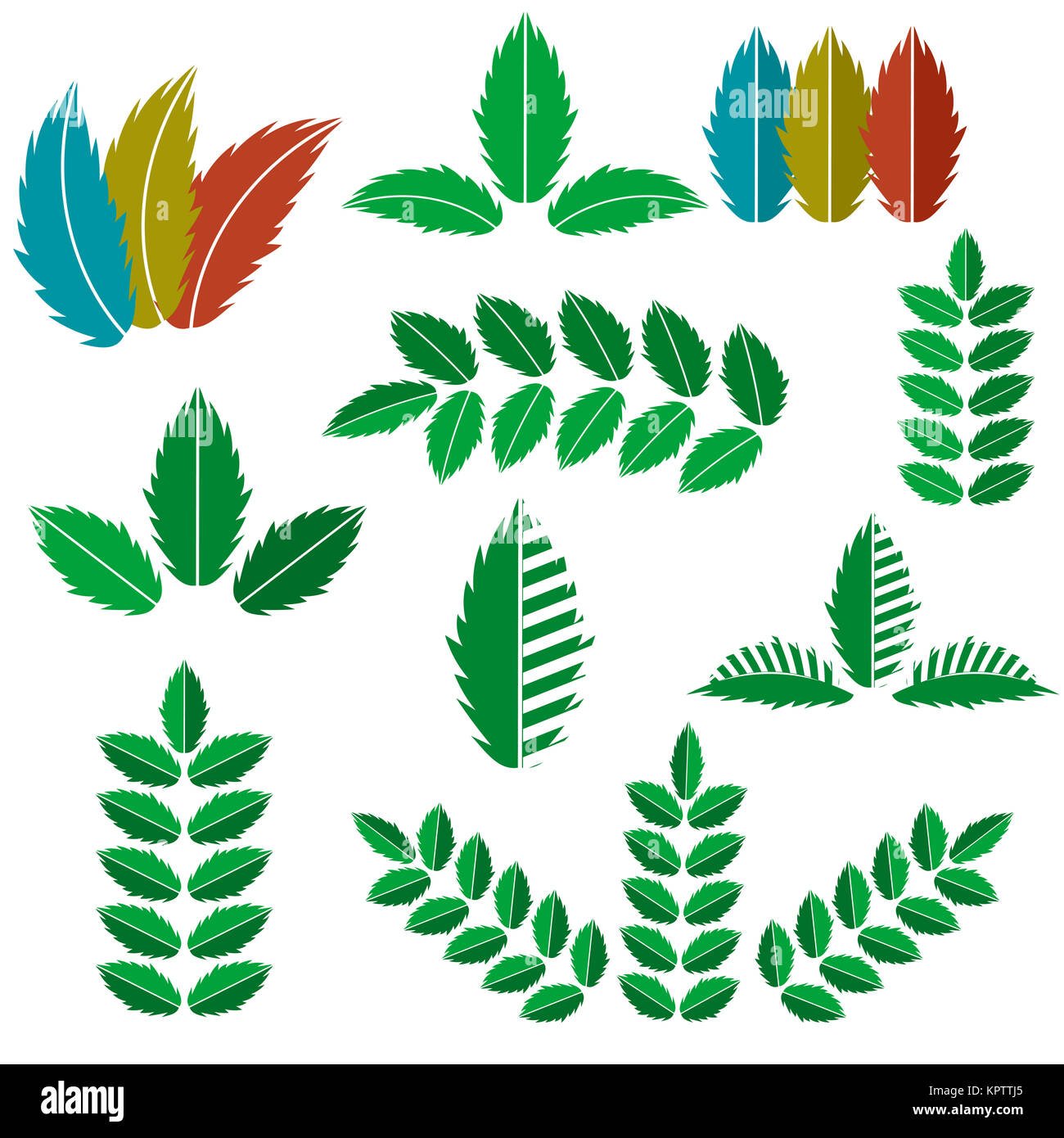 Vector Set of Green Leaves Isolated on White Background Stock Photo - Alamy