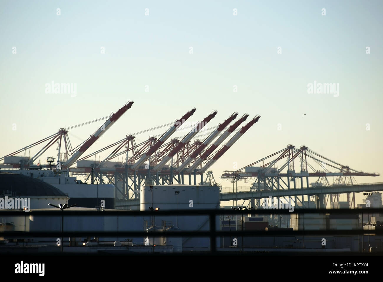 Der Industriehafen von Los Angeles mit Kränen, Industriegebäuden und Speichertanks. Stock Photo