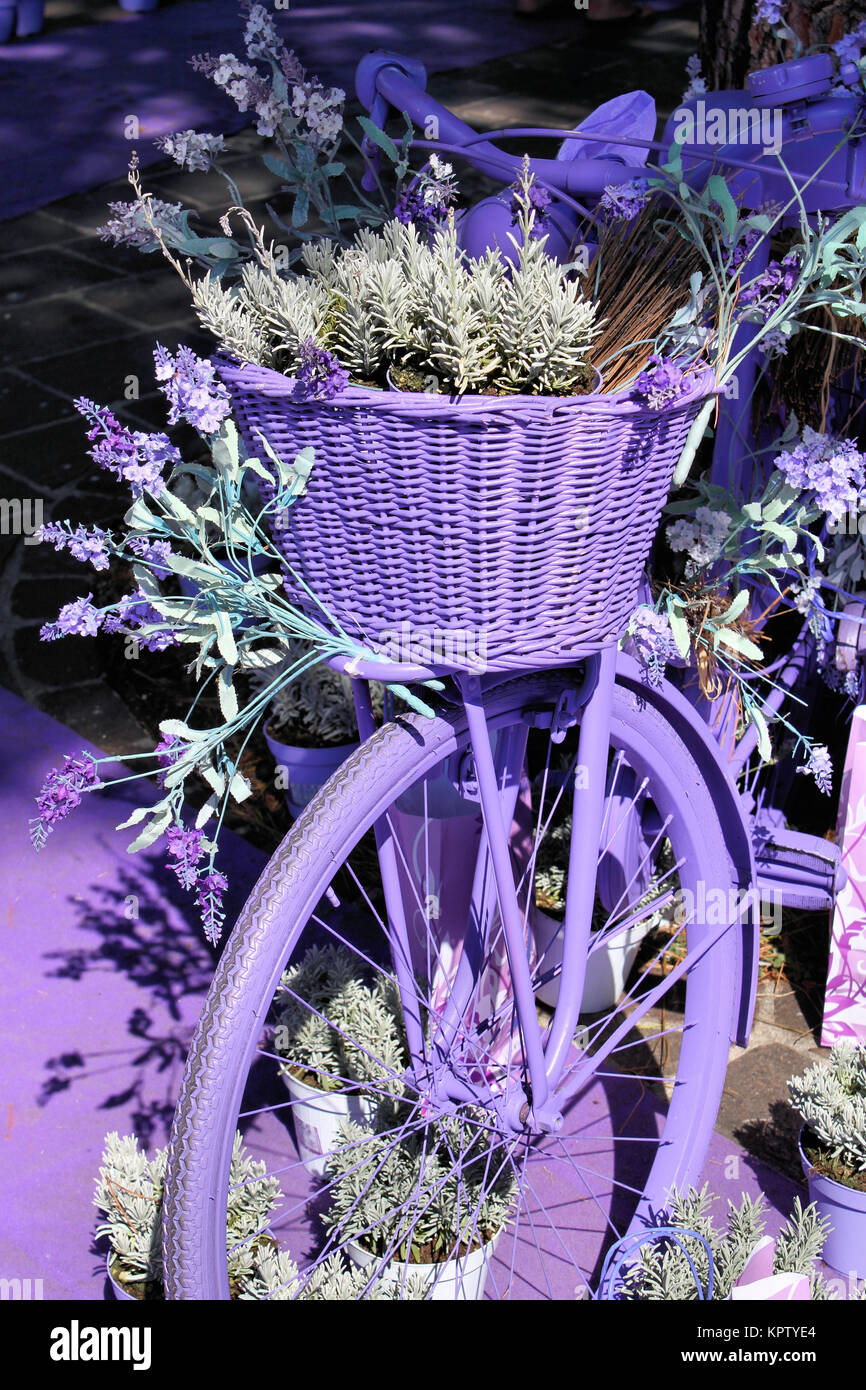 Bicycle in flower decoration Stock Photo Alamy