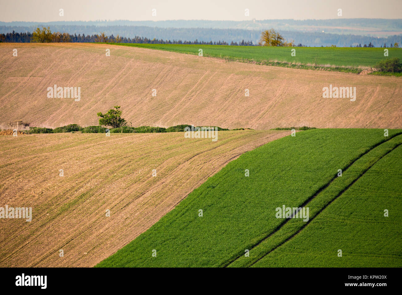 Beautiful summer rural landscape Stock Photo - Alamy