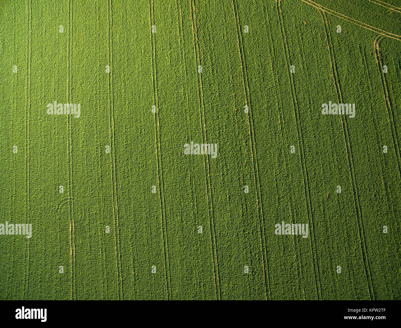 Farmland from above - aerial image of a lush green filed Stock Photo ...