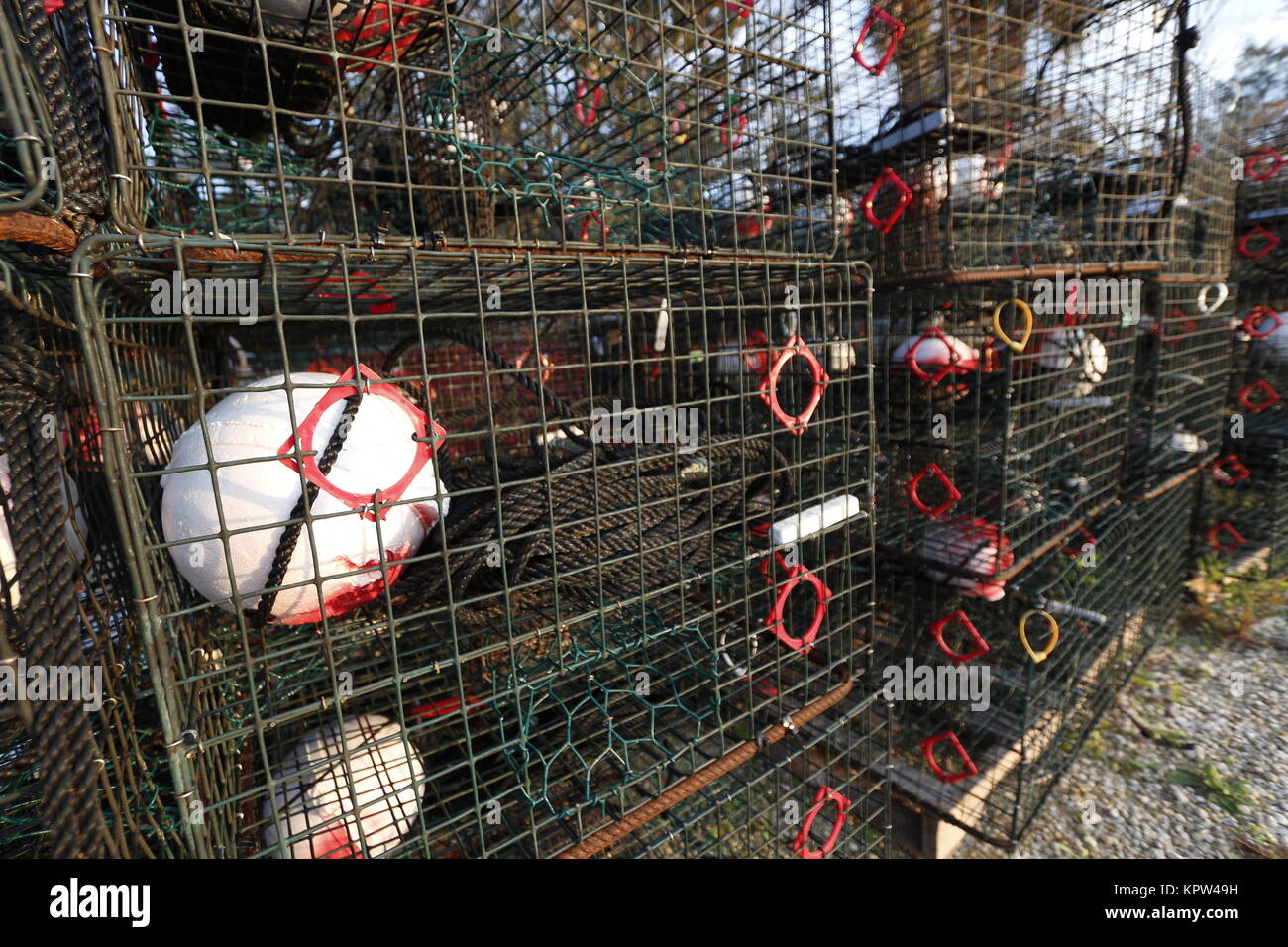Lobster and crab traps, Florida Stock Photo Alamy
