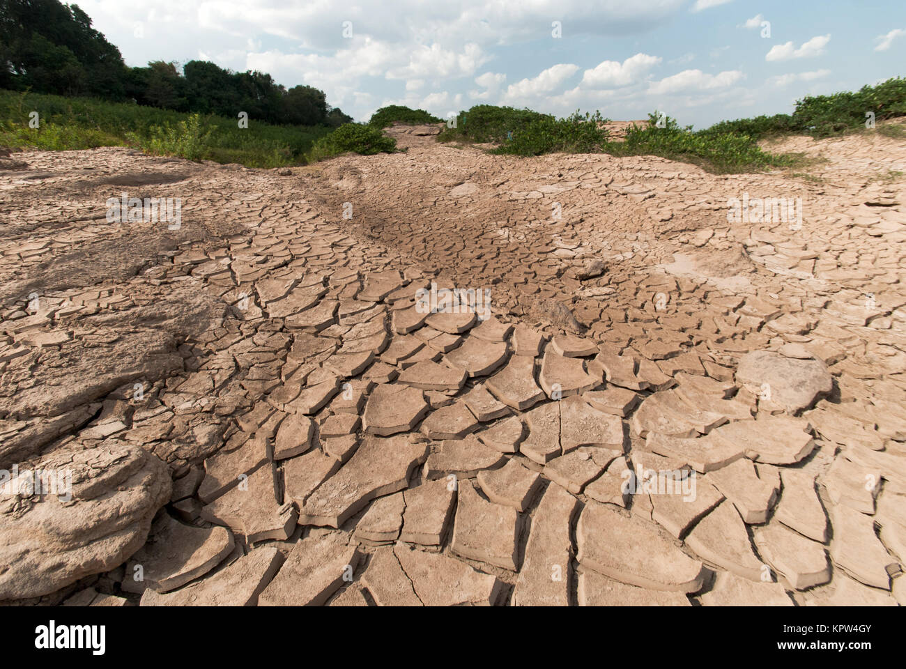 Cracked dry land without water Stock Photo Alamy