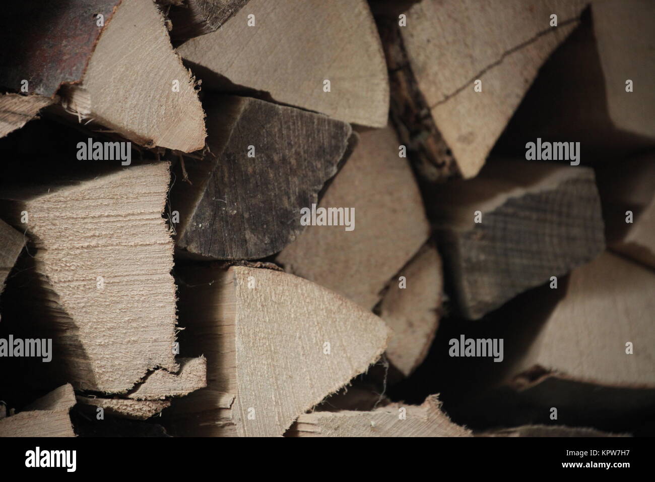 pile with firewood in the forest Stock Photo