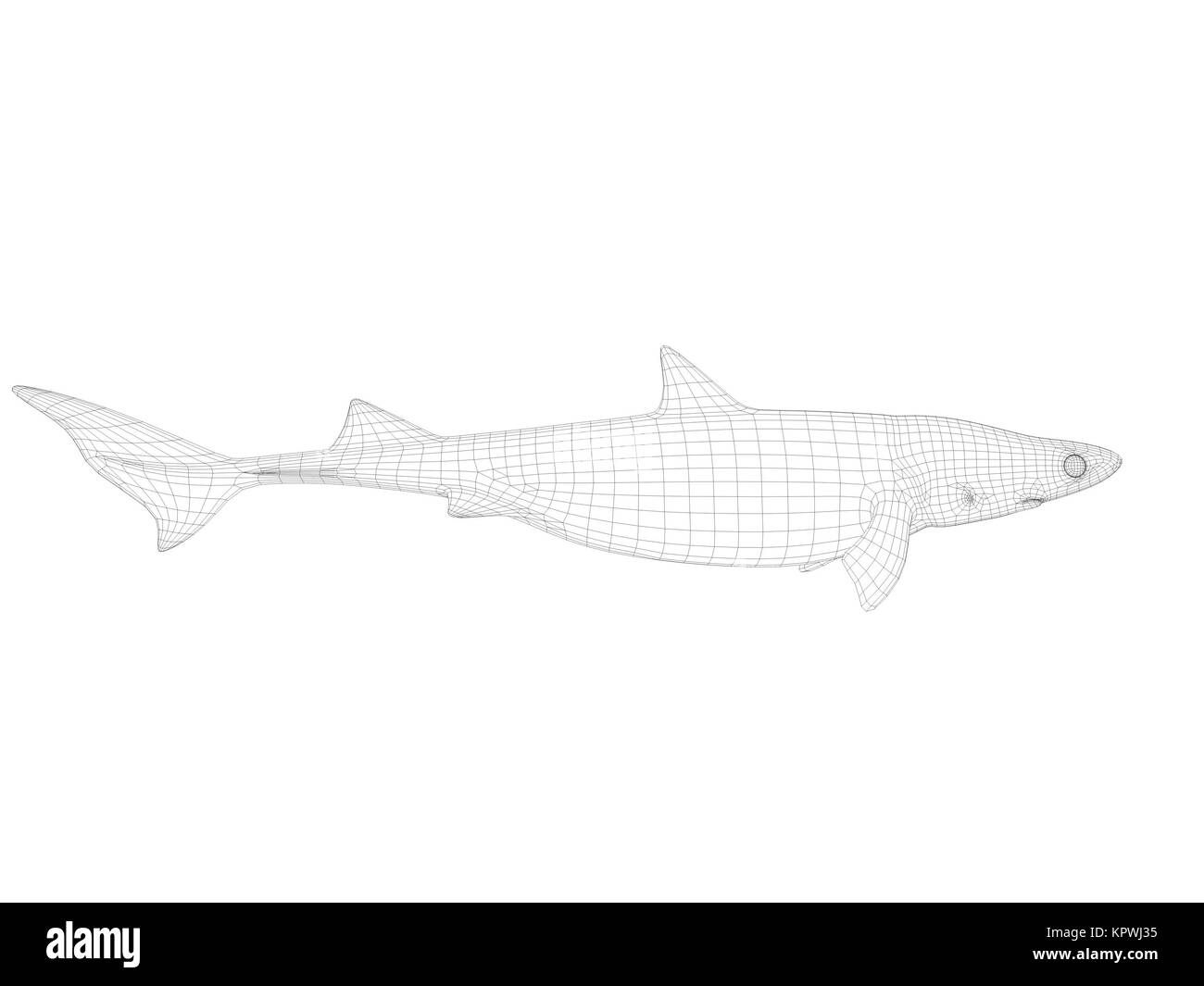 3d wireframe shark Stock Photo
