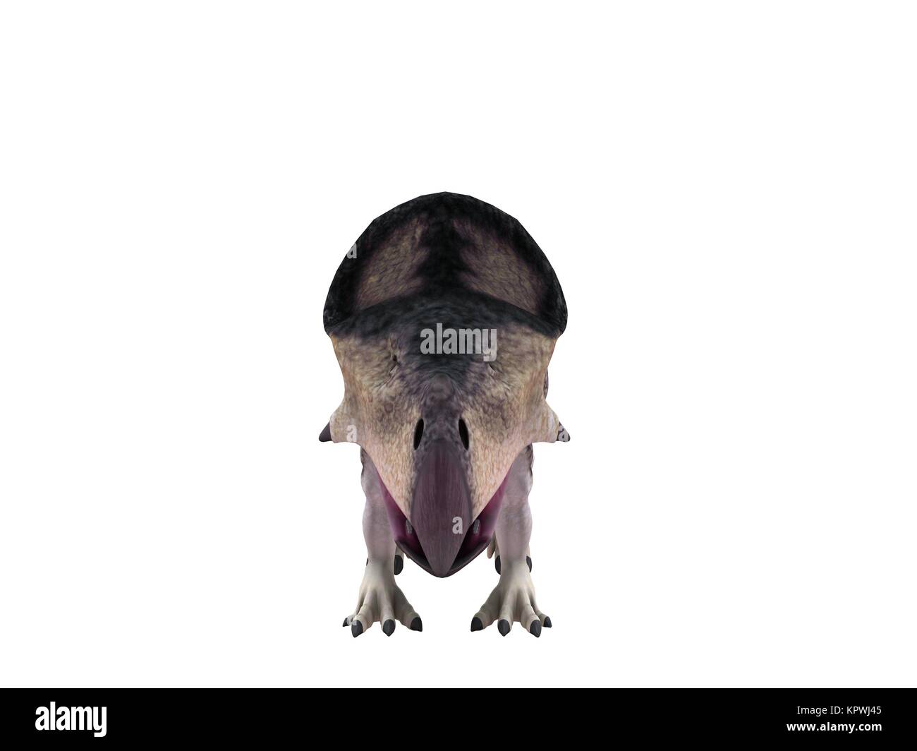 3d render of a Dinosaur inside a white stage Stock Photo