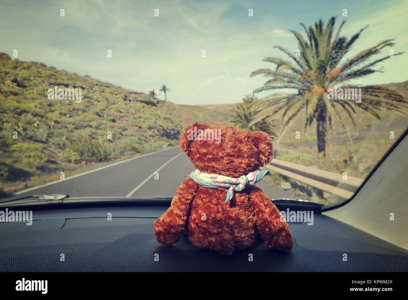 Bear The Palm High Resolution Stock Photography And Images Alamy