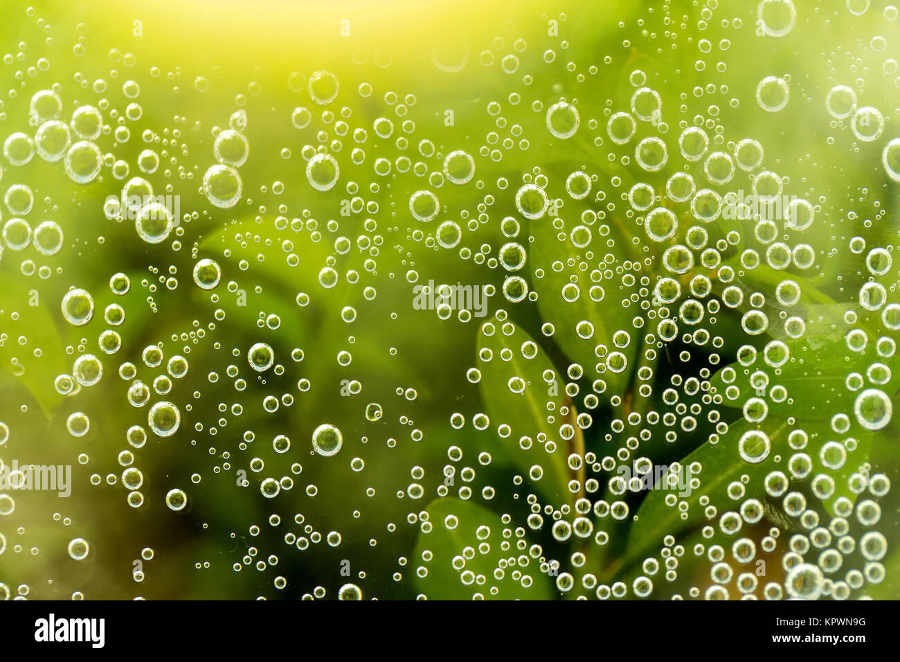 green abstract background with water drops Stock Photo - Alamy
