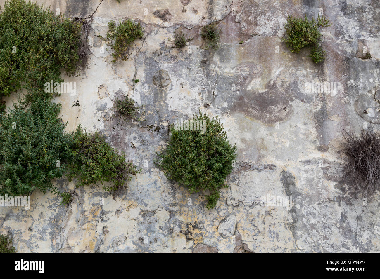 old stone wall as background Stock Photo - Alamy