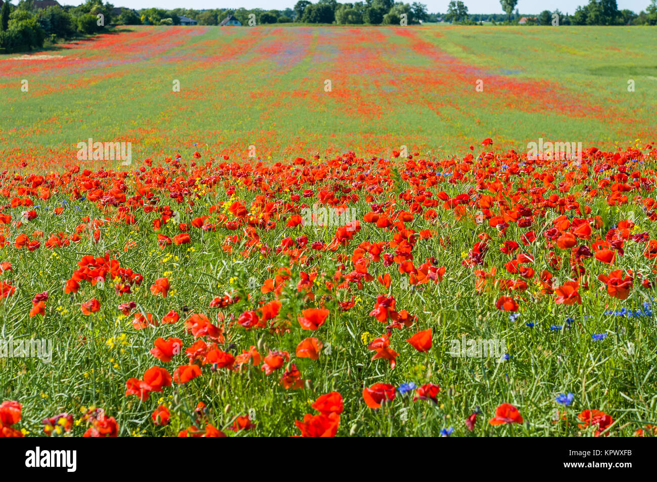Ground landscapes hi-res stock photography and images - Alamy