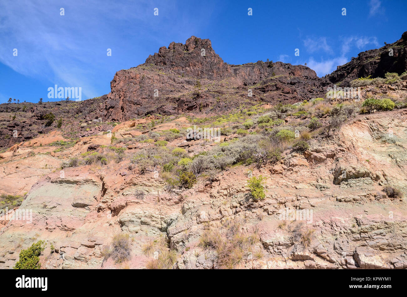 Volcanic Rock Basaltic Formation in Gran Canaria Canary Islands Stock Photo