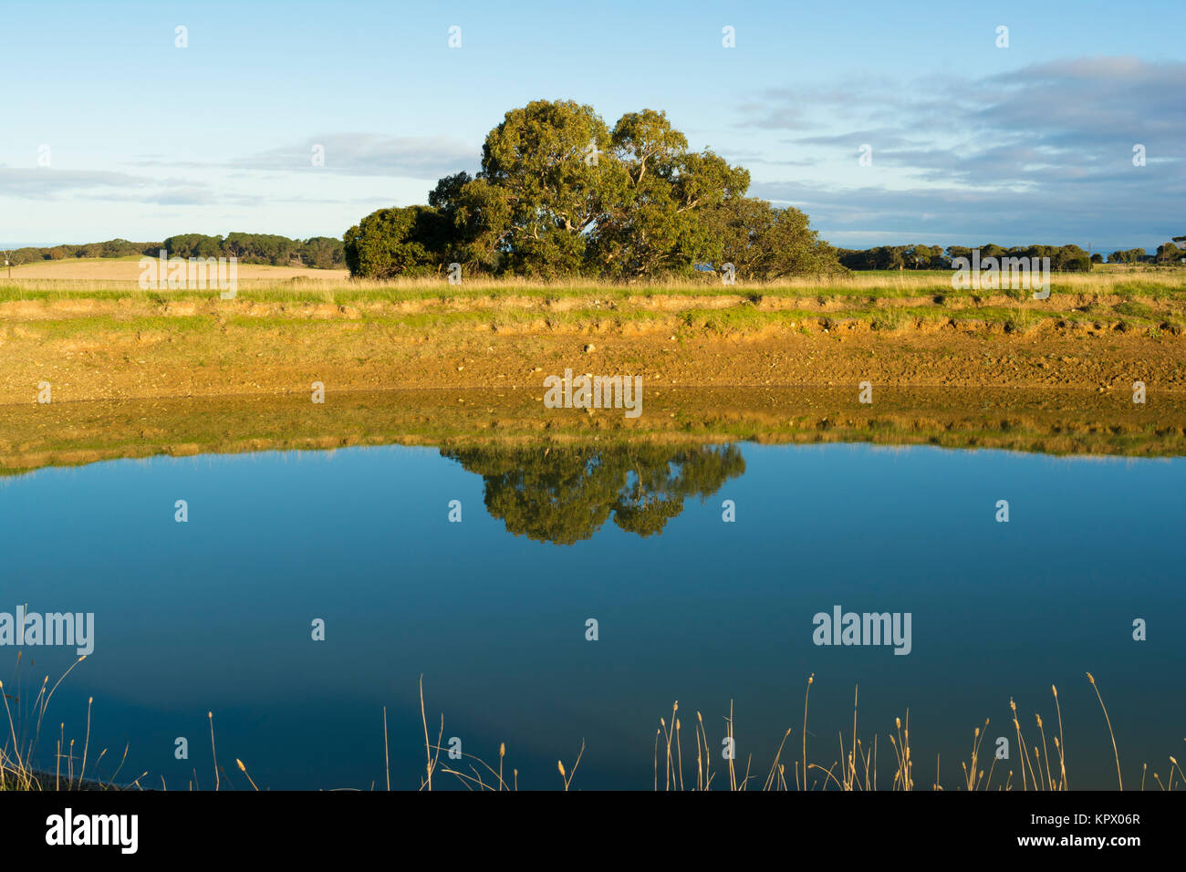 Random farm land dam in the Fleurieu Peninsula, South Australia