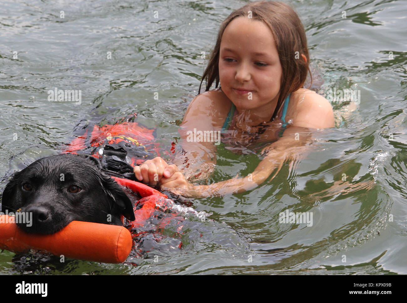 water rescue dog Stock Photo