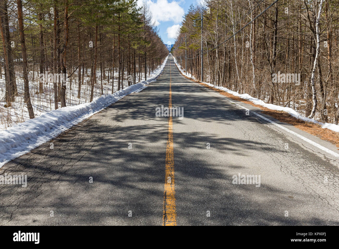 Winter landscape with the road the forest Stock Photo - Alamy