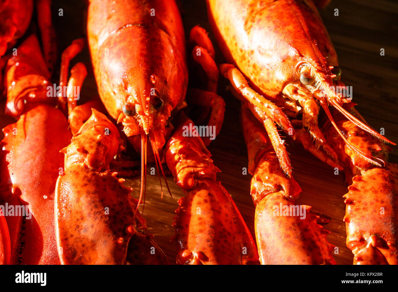 Cooked red Lobsters Stock Photo