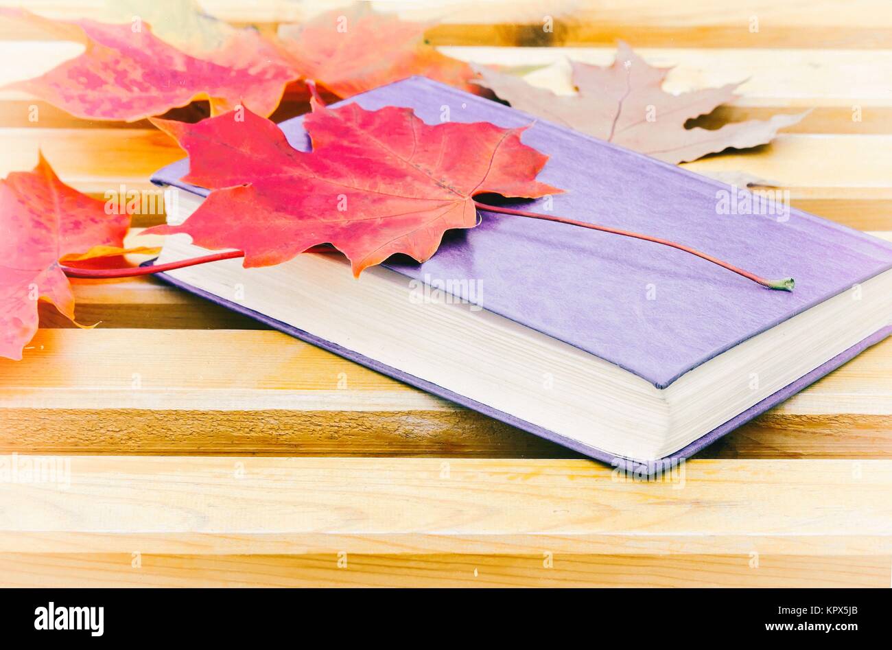 Book and fallen leaves on a Park bench. Stock Photo