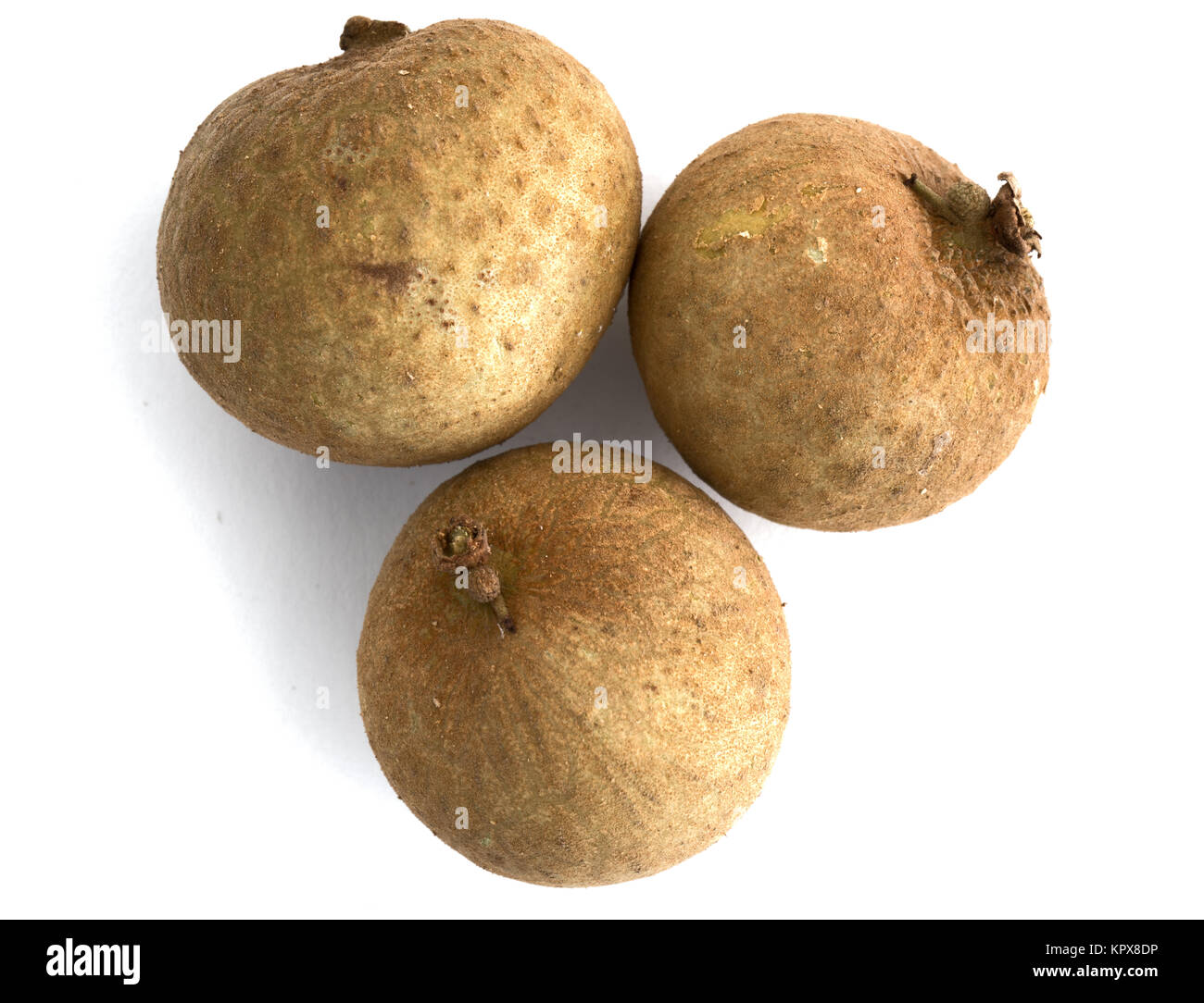 Three pieces of Whole Dimocarpus Longan fruit isolated on white ...