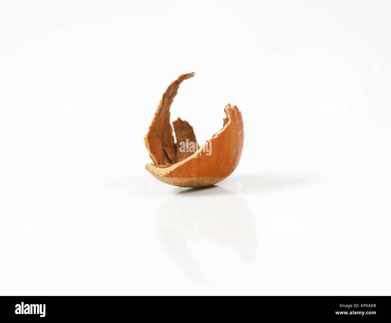 empty hazelnut shell Stock Photo 168994739 Alamy