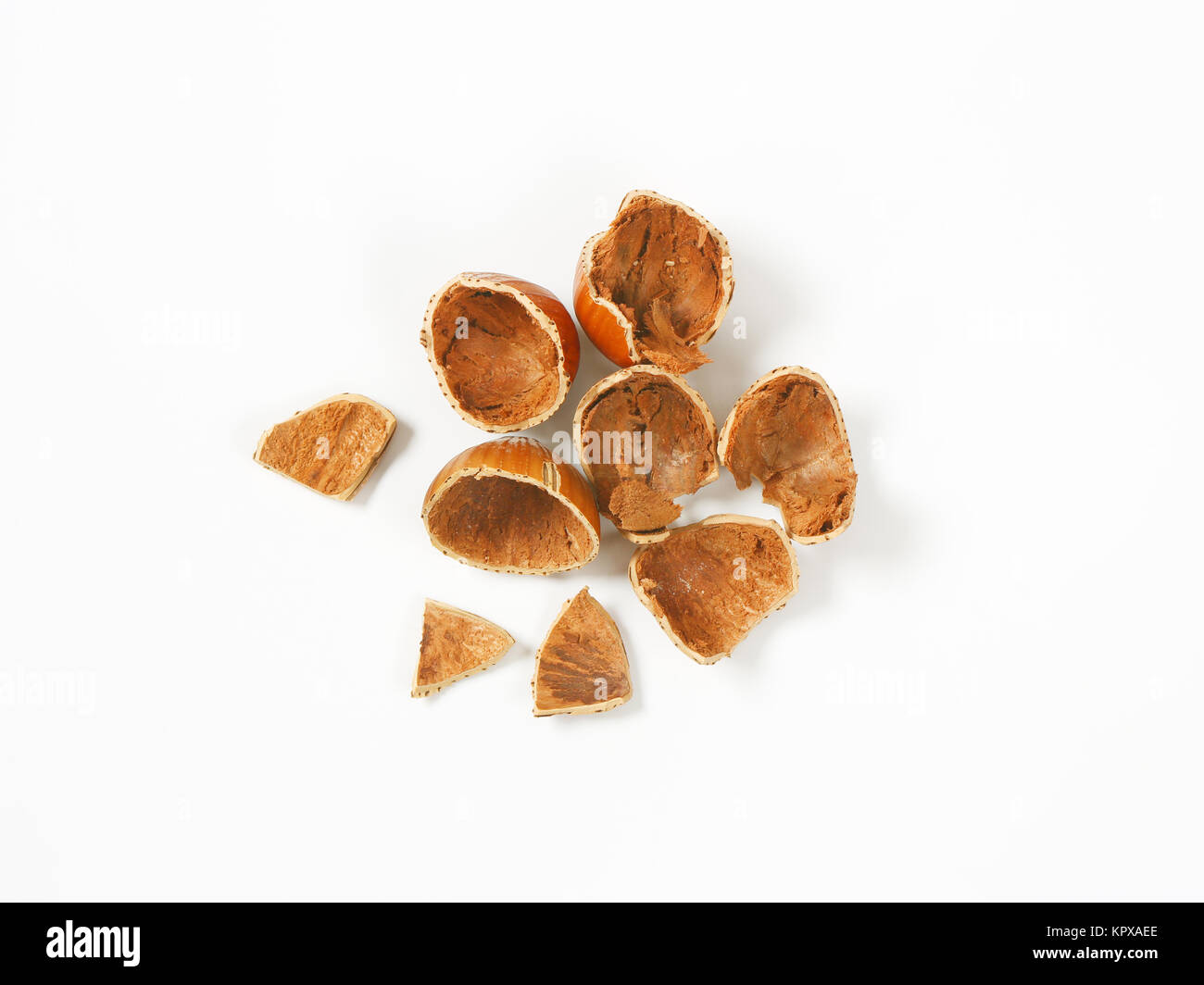 empty hazelnut shells Stock Photo Alamy